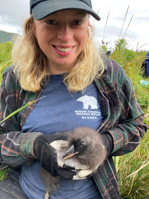 volunteer holding a tufted puffin chick