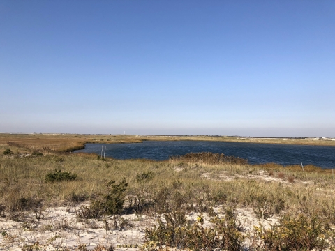 A dune beach spreads out the the horizon, clustered with plants. A inlet fills up the right side on the photo. The sky is blue and cloudless. 