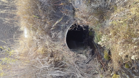 Mill Creek culvert