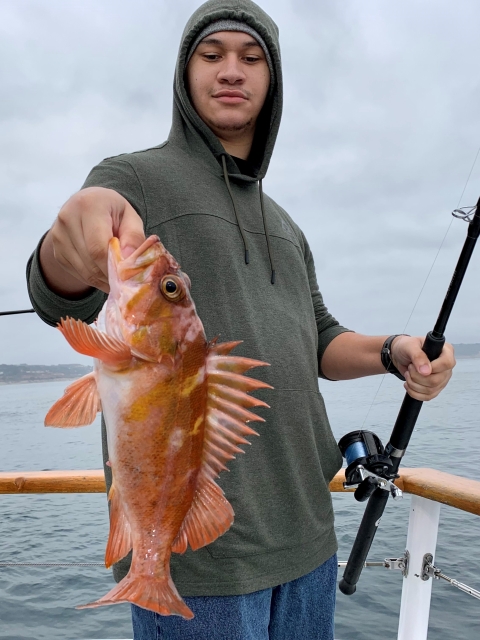 Nathan from the Blue Heart Foundation holds rock fish.