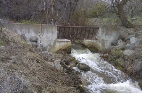 Johnson Creek Culvert Debris Screen Structure