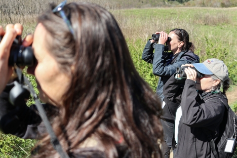 Three people in a field, holding binoculars to their eyes