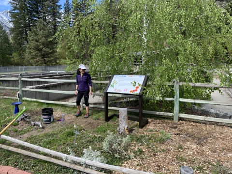 A woman stands next to a sign in a garden