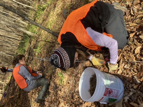 Two people wearing orange vests and working in the forest soil