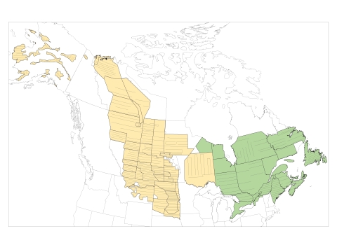 Strata and transects of the Waterfowl Breeding Population and Habitat Survey (yellow = traditional survey area, green = eastern survey area).