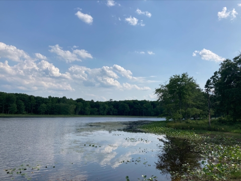 a large lake surrounded by dense green forest under a blue sky