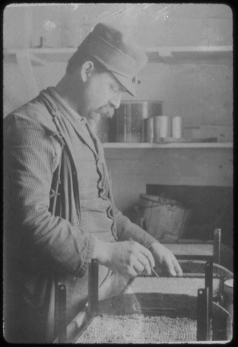 man stands over a tray of salmon eggs