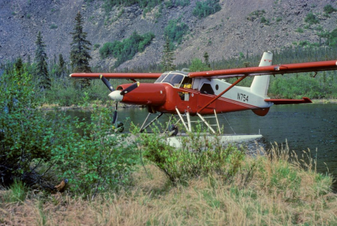 Plane in water behind a bush