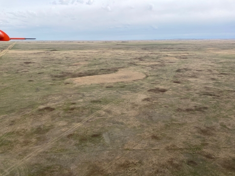 aerial view of a dry landscape