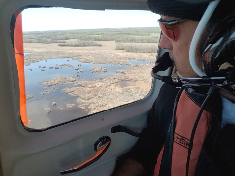 man looking out a plane window