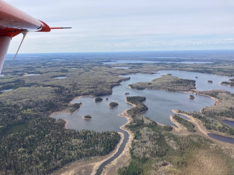 Aerial view of wetlands