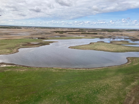 Aerial view of wetlands