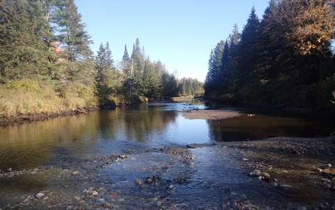 a wide river runs between evergreen trees