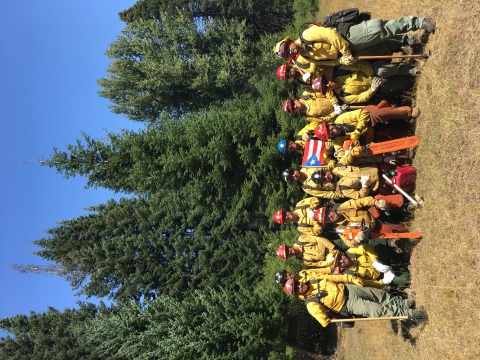 fire crew in yellow in front of trees holding small Puerto Rican flag