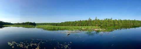 a vast river reflects the trees and sky above