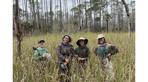 A Florida Wildlife Refuge Fights Back Against Climate Change | U.S ...