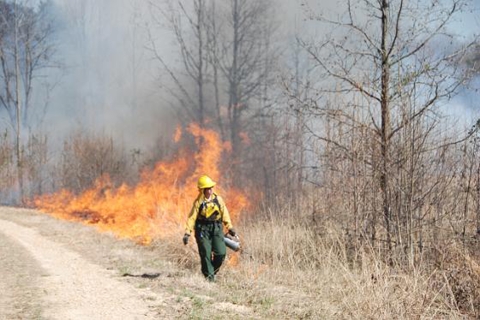 Prescribed Burn - Laying down fire