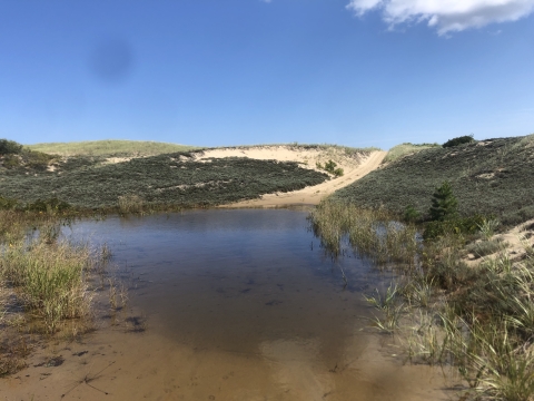 A flooded section of coastal access trail