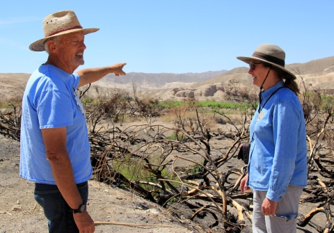 Man and woman looking at burned trees