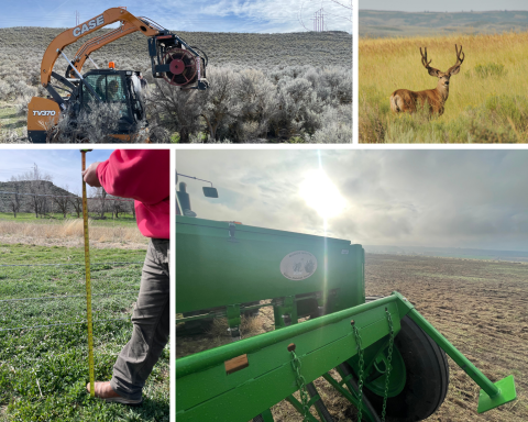 Collage picture of a tractor removing fence, a mule deer, a person measuring the fence height, and a drill up close.