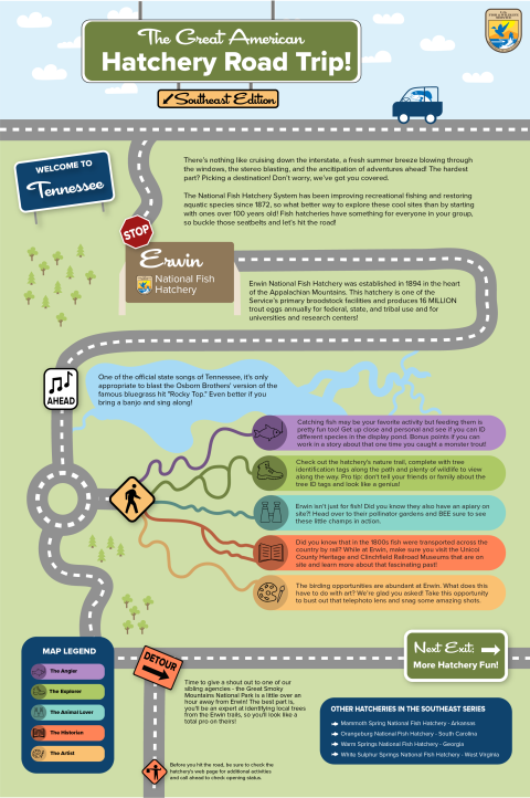 Image contains a graphic of a cartoon-like map. A fish drives a car on a road that winds down the page, stopping at various sites in the hatchery.