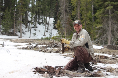 A Refuge employee prepares to plant a tree seedling.