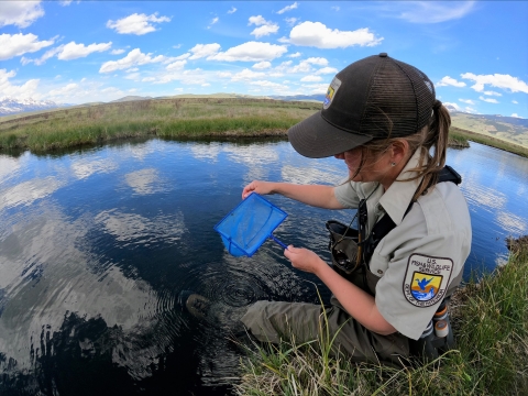 A biologist holding a blue net while sitting near a pond.