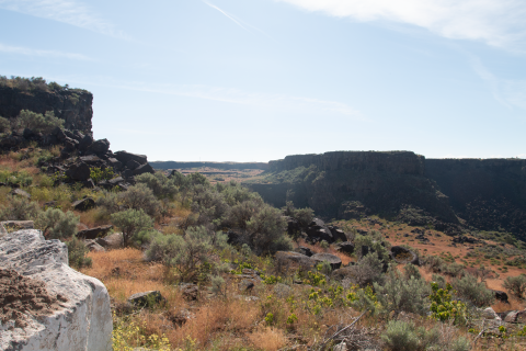 A dry, desert landscape can be seen with red and green vegetation and rock outcrops.