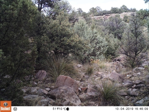 empty rocky trail