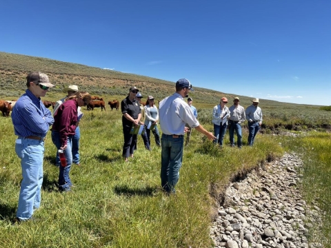 group of 10 people standing in a grassy field with cows in the background, listening to a man pointing at a bank of rocks