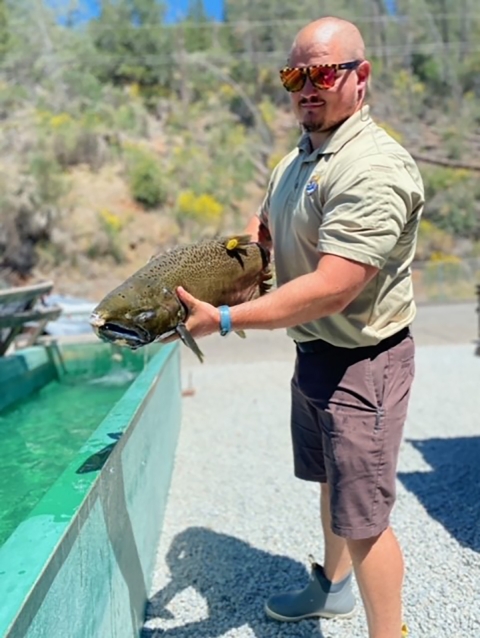 man in sunglasses holds golden-colored fish over water pool.