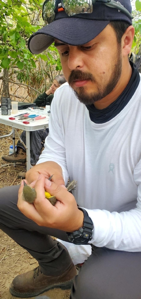 Man holds a yellow bird in hand