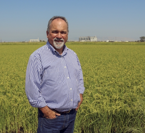 A man in a blue and white shirt and jeans standing in front of a large rice field