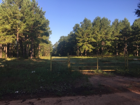 Image of land acquired at Neches River National Wildlife Refuge