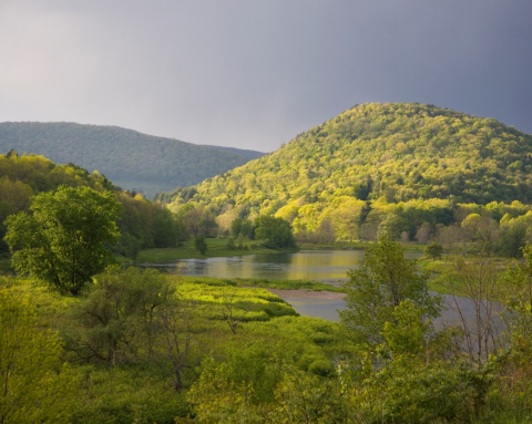 A wetland amidst green hills