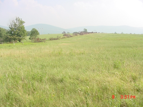 Grasslands-Canaan-Valley-NWR-Ken-Sturm