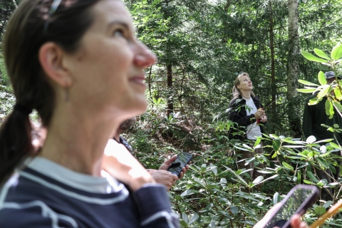 Two people standing in a forest looking up