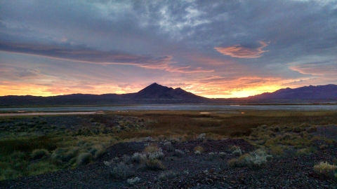 landscape of green brush with sun setting over mountain in background