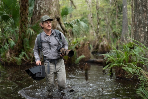 Carlton Ward Jr. is shown wading through a Florida swamp hauling camera equipment.