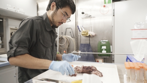 Service intern, Eric Klingberg, sampling deep-sea specimens while with the Schmidt Ocean Institute.