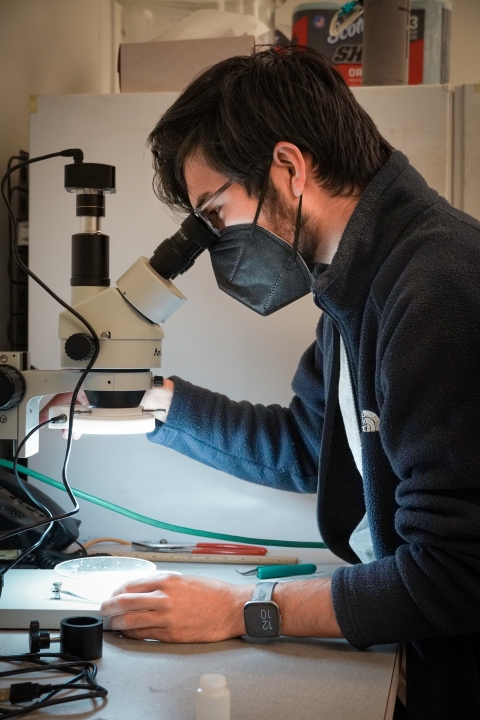 Service intern, Eric Klingberg, using a microscope to view and identify stomach sample contents from a fish. 