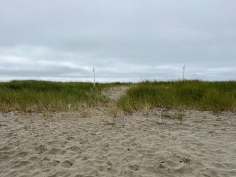 Entrance to trail from beach.