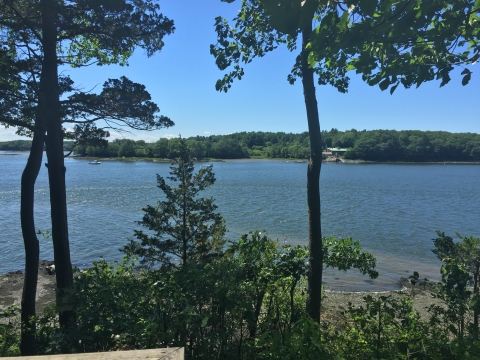 image of great bay in new hampshire from a platform