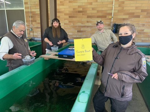 Quinault National Fish Hatchery staff sampling and collecting data on juvenile salmon