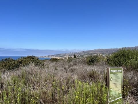 hillside of green brush with sign that reads Preserve Rules