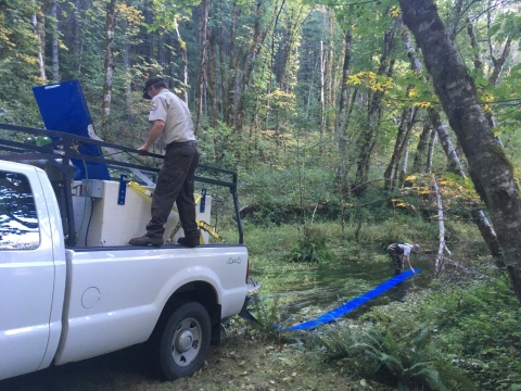 U.S. Fish and Wildlife Service employees stocking a spring with fish