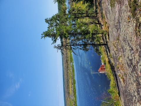 view of a marsh in central Saskatchewan