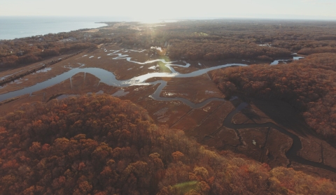 an aerial view of a river flowing through a wetland