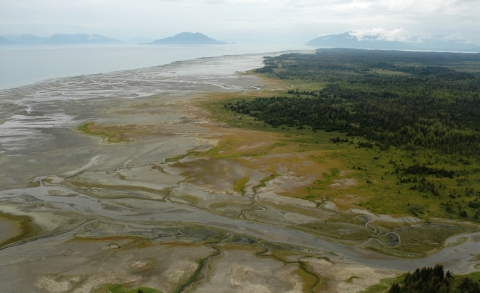 a river flows across a wide plane to sea