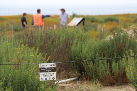 vernal pool with sign that reads area closed habitat restoration in progress